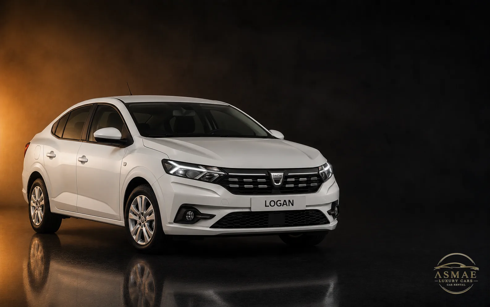 Dacia Logan (Blanche)
