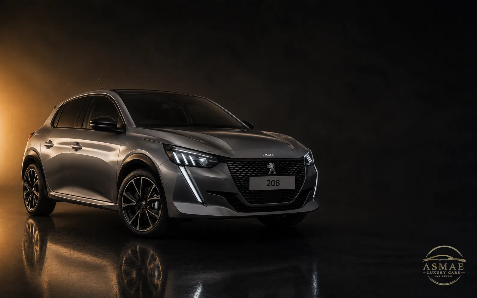 Peugeot 208 (Grise)